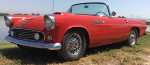 T-Bird