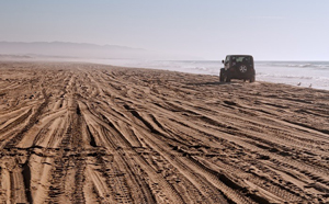Oceano Dunes