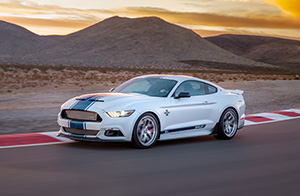 Shelby