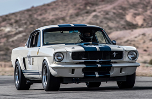 Shelby