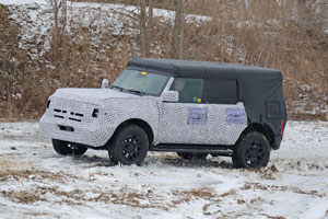 Bronco