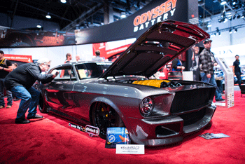 Mustang