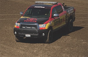 tundra