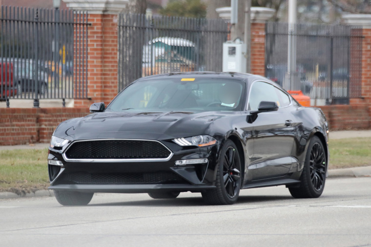 Mustang