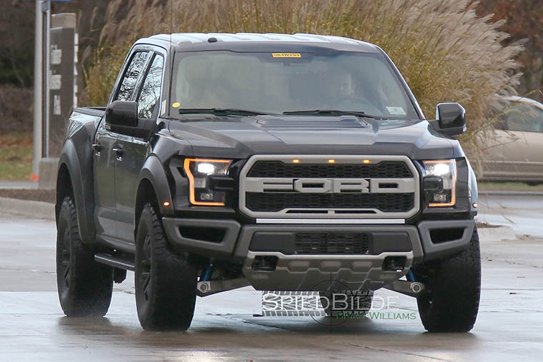 raptor