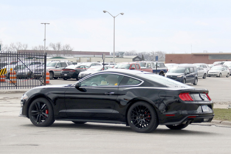 Mustang