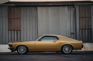 Boss Mustang