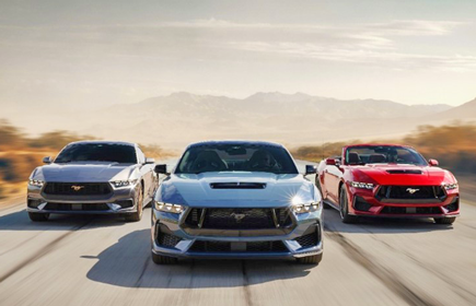Mustangs