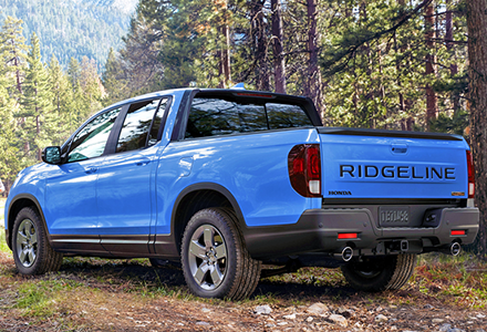 Ridgeline