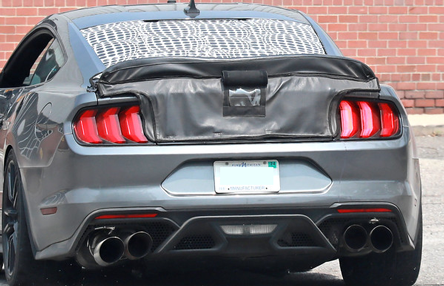Ford rear