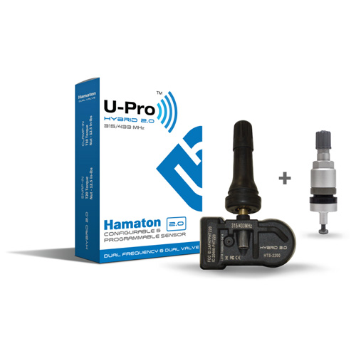 Hamaton