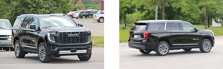 Yukon Denali