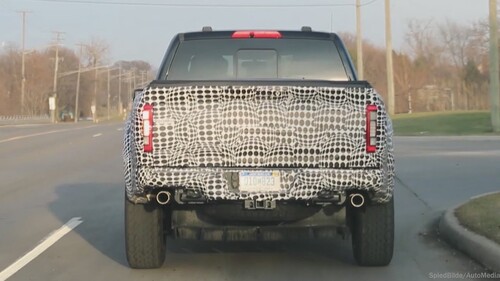 Raptor