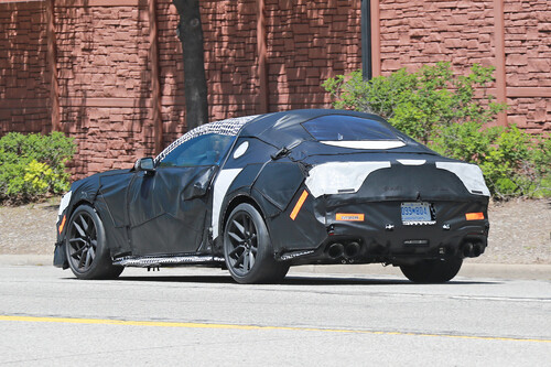 Mustang