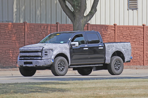 Raptor