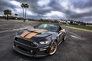 Mustang