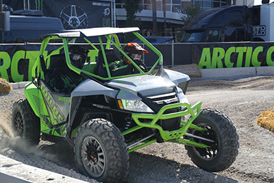 arctic cat