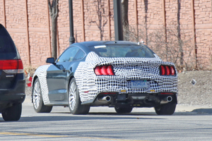 Mustang