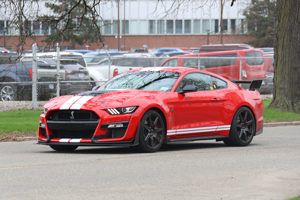 Shelby