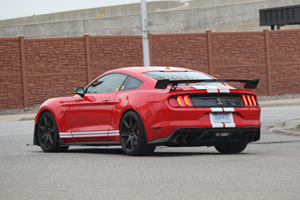 Shelby