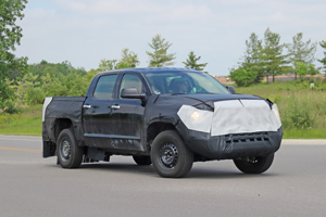 Tundra