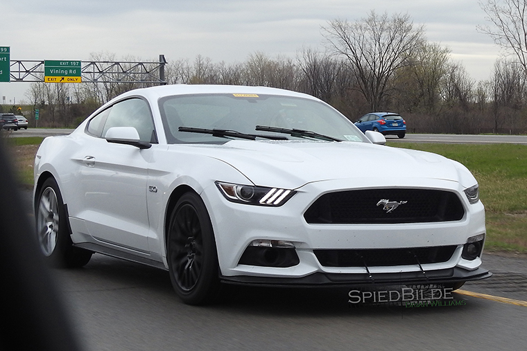 stang