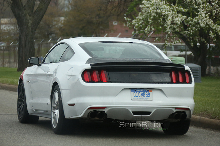 stang