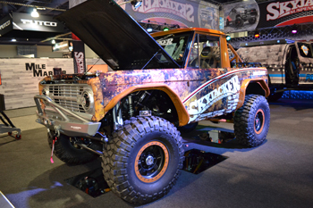 Bayou Bronco