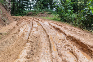 West Virginia