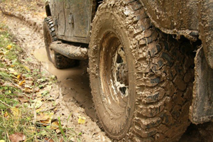 West Virginia